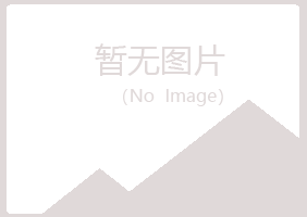 嘉峪关忆山培训有限公司